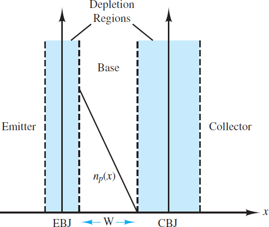 Equilibrium concentration gradient of free electrons in the p-type base of a forward-biased NPN transistor.