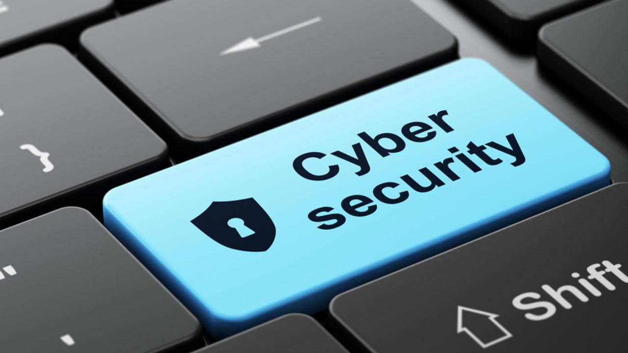 Cyber Security and Privacy Issues