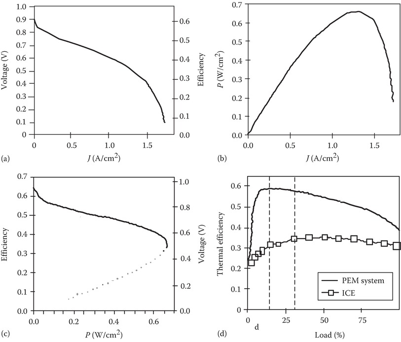 Fuel Cell: Characteristics Curve & Losses