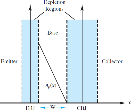 Equilibrium concentration gradient of free electrons in the p-type base of a forward-biased NPN transistor.