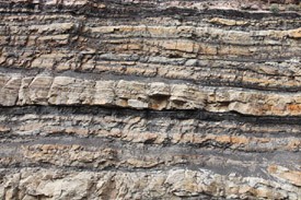 a coal seam in sedimentary rock