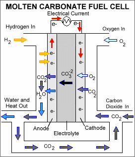 molten_carbonate fuel cell